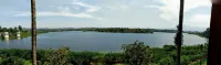 LakeRose Wayanad Resort - Mountain view