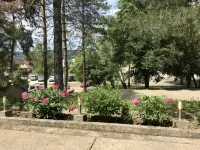 Berezka Hotel Hotels in Gorod Goryachiy Klyuch