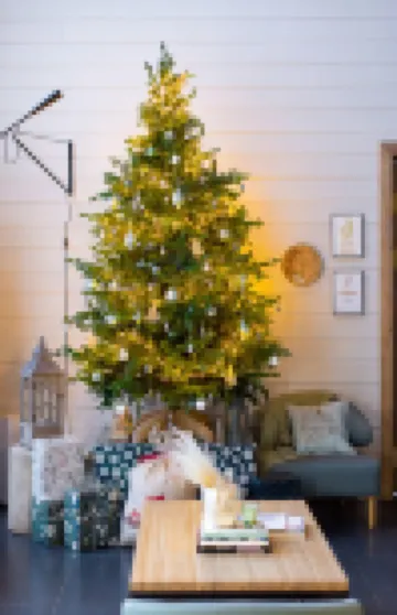 Just Wood Recreation Hotel Hotels in 