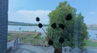 Haihaizi Homestay - Mountain view