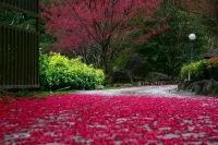 Brook-View Eco-Farm Hotels in Fuxing District