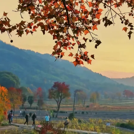 Hongcun Yunyu · Intelligent Resort Hotel