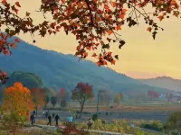 Hongcun Yunyu · Intelligent Resort Hotel - Mountain view