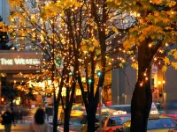 The Westin Seattle Hotels in Seattle