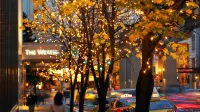 The Westin Seattle Отели в г. Кинг