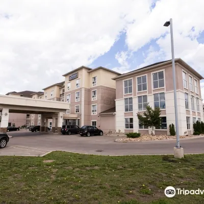Best Western Plus South Edmonton Inn  Suites Hotels near Edmonton Research Park