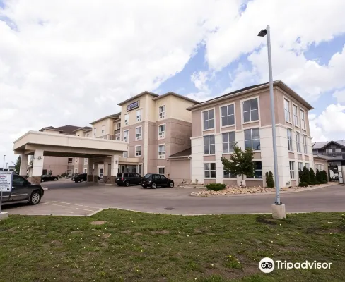 Best Western Plus South Edmonton Inn  Suites - 3 ดาว