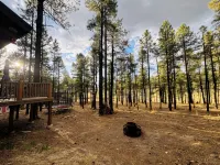 Come Get Cozy in The Coues Cabin