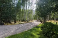 A quaint cottage in the woods. Close to world class ski resort, Sun Valley. - 4-Star