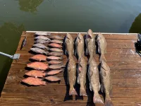 Tranquil Waterfront 3-2 Home; Great Year-Round Fishing, Outdoor Activities