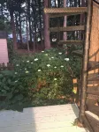 Peaceful Retreat on the Eastern Shore. Nature lover’s paradise!