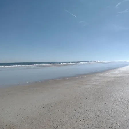Direct Oceanfront & Private, Dog Friendly, 2Br House, Labor Day Availability. Hotels in Crescent Beach