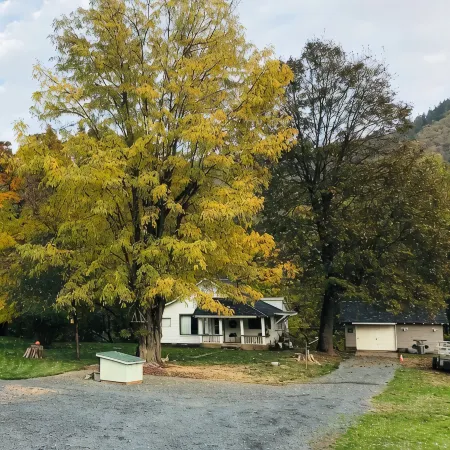 Serene Historic Cabin, Nine Acre Estate, Just Off I-5