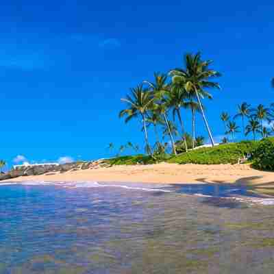 Across from Beach Walk to Shops and Restaurant Beautiful 3Bd 3BTH Condo Kihei Fitness & Recreational Facilities