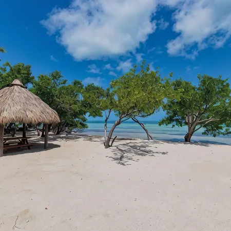 Island pool home awaits in Islamorada's Port Antigua