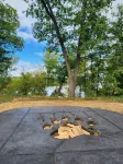 Bear Paw Cabin on the Lake, with Private Water Access, Quiet Getaway Sleeps 6