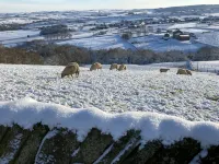 Weaver’s Den, a cosy countryside retreat
