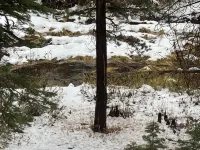 Rustic River Retreat - Pet Friendly - WIFI - 12 minutes to Sugar Bowl Resort - Hytter