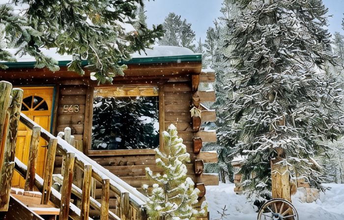 3 BR Mountain Log Cabin at St. Mary's Glacier