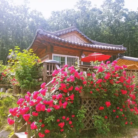 Anseong Ginseng Flowering Village Pension