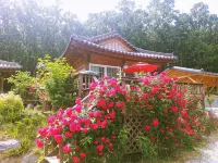 안성 산삼꽃피는마을 펜션 - 2성급