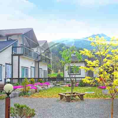 Danyang Wildflower Scent Pension Hotel Exterior