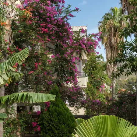 Pataros Hotel