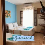 Pousada Brisa de Paraty - إقامة ريفية