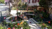 Basement apartment close to the center of Colmar, with private garden.