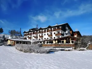 Hotel Pinei