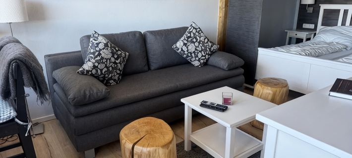 Top modern apartment Altenau in the Upper Harz Hotels in Upper Harz