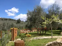 Agriturismo IL Viaio - 3-Star