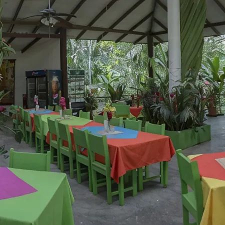Caribbean Paradise Eco-Lodge