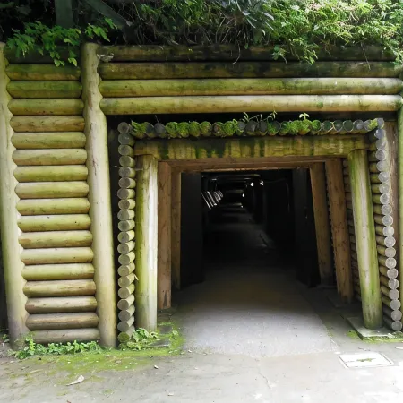 Nipponia Izumo Taisha Shrine Town
