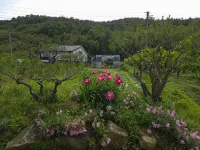 Gangjin Sandeul Farm Pension - 家庭旅館