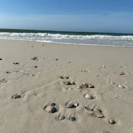 Perfect for Your Summer Getaway.  Quiet Beach & Pool Just Steps Away.