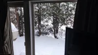 Mush Rooms - Mountain view