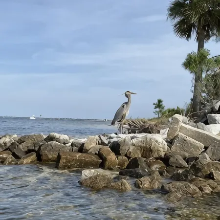 Aqua Diver is a darling 1 BR house on the East end of Panama City Beach, Florida
