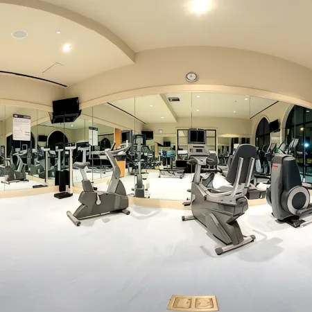 Sheraton Stonebriar Hotel
