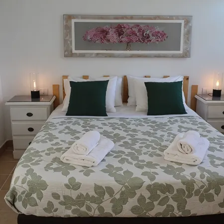 Privilege Bay-Villa Chennai-sea view and natural park view. Beachfront location.