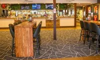 Hoey Moey Backpackers - bar