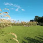 North Star Glamping -  Holiday Villas