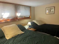 Beautiful lake side lower unit cabin on pelican lake ブリージー・ポイントのホテル