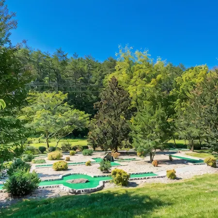 Mountain Retreat - Theater & Arcade - Hot Tubs