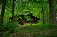 Cozy Cabin Among the Trees - Rustic Charm, Modern Comforts,  26 Secluded Acres - Hytter