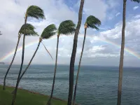 Super Luxury, Direct Oceanfront, 20 yards From Ocean, Whale Watchers Paradise - 3つ星