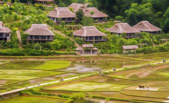 Mai Chau Ecolodge