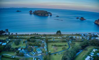 a bird 's eye view of a beach with blue water and houses , surrounded by grass and trees at Hahei Beach Resort