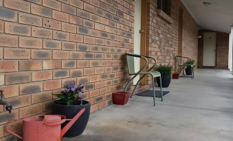 a brick wall with several potted plants and chairs lining the porch , creating a welcoming atmosphere at Sandhurst Motor Inn Bendigo