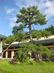 Kyowa Onsen Shiki No Yu Hotels in Daisen